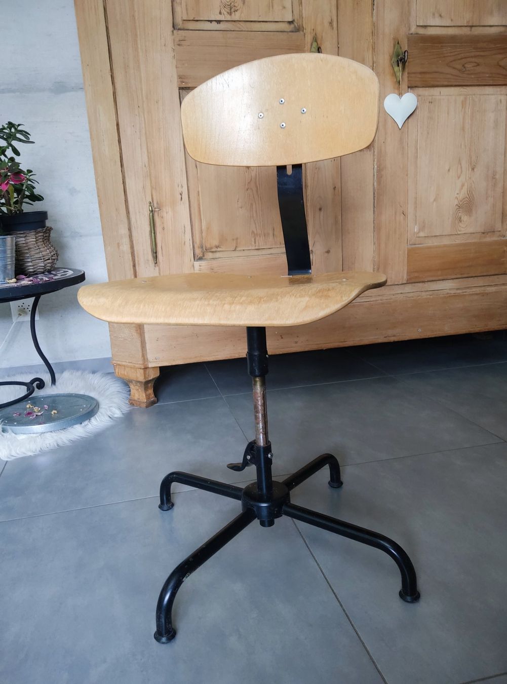 Stella Sedie: Chaise de bureau stella – Usato da Vicques venduto da prairie0809 2