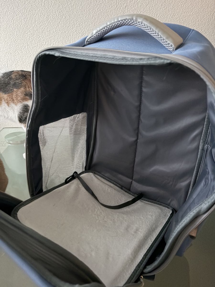 Sacs: Katzentransportrucksack – Neuf (Voir description) à Emmenbrücke par dylan_esteban19 2