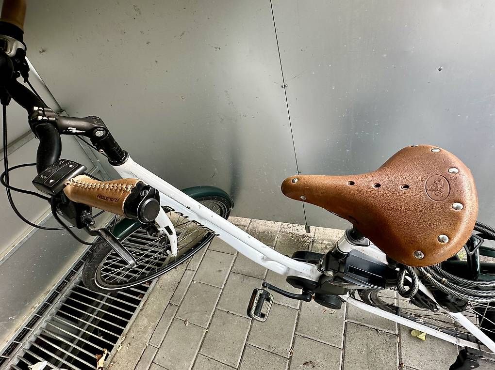 Vélos: Elektro Velo Raleigh – D'occasion à Muttenz par anna123 1