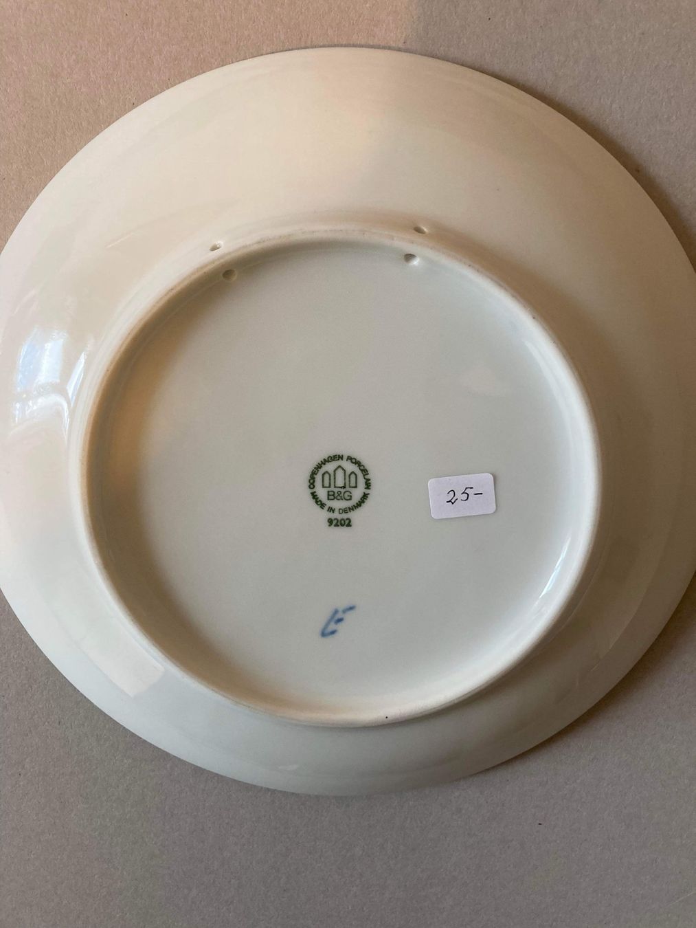 Royal Copenhagen Piatti: B&G Copenhagen Teller – Usato da Birmenstorf AG venduto da matchless000 1