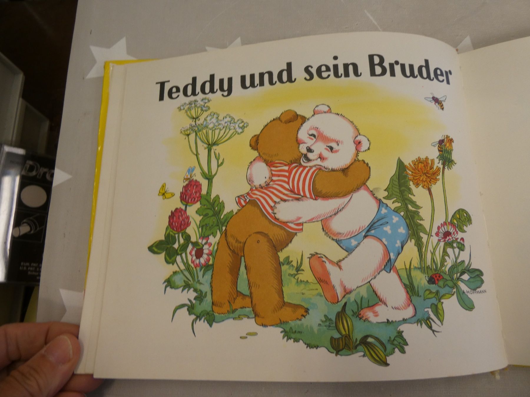 Libri: Buch: Teddys Abenteuer – Usato da Rafz venduto da Powacaddy 5