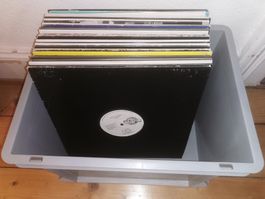 House Vinyl Lot: Daft Punk, Ian Pooley, DJ Hell, Deephouse..