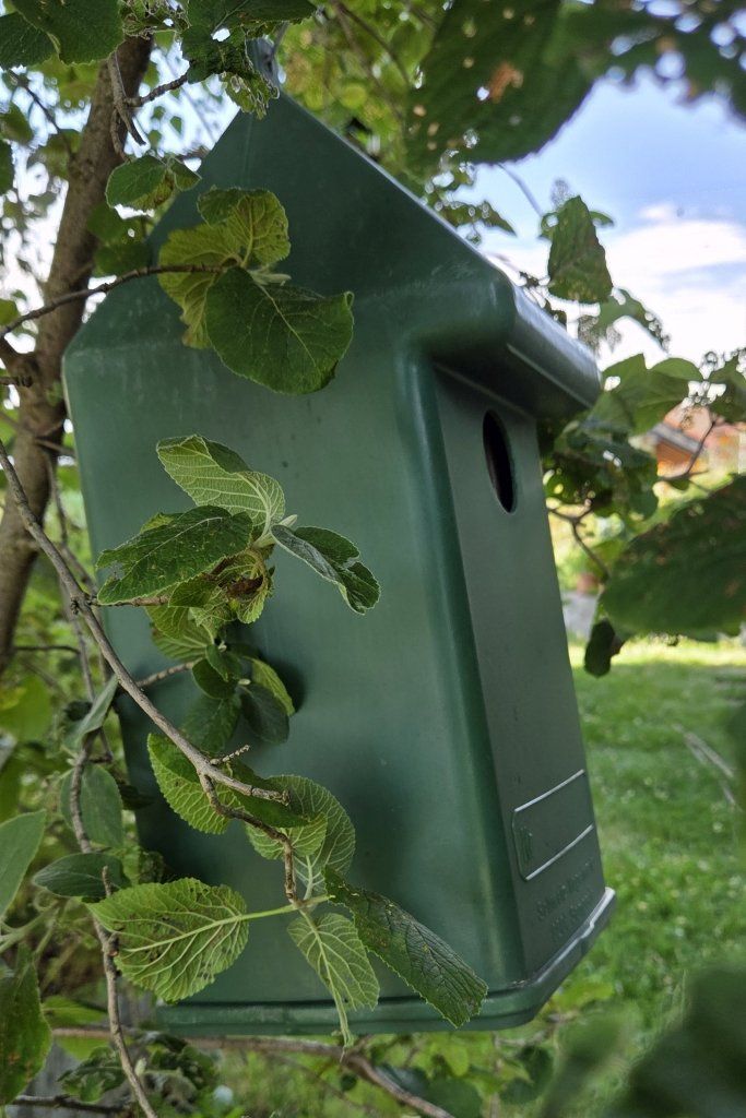 Petites maisons à oiseaux: Nistkasten mit 4 wählbaren Einfluglöchern – D'occasion à Stein par Sahara04 1