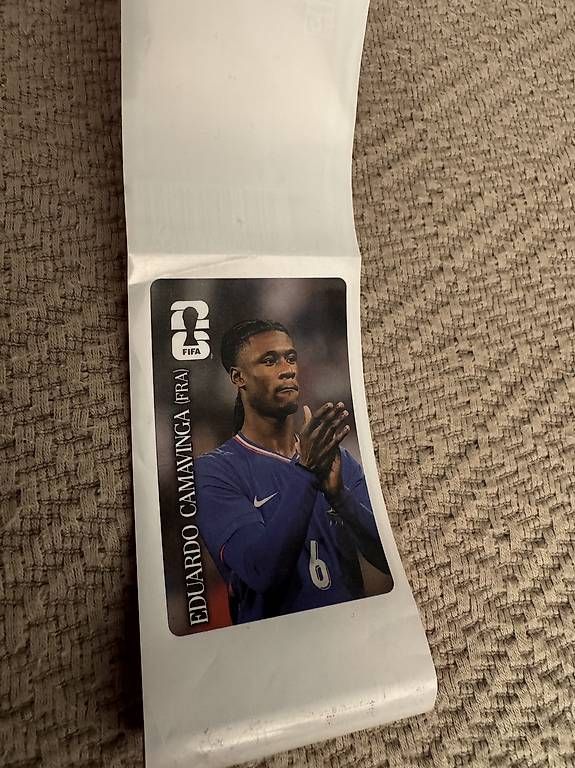 Sammelbilder & Trading cards: Panini – Gebraucht aus Zürich von Gregorycar 2