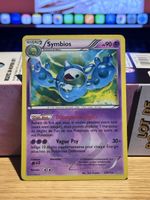 Symbios DRX 126 - Shiny Secrète - Dragons exaltés - FR 🇫🇷