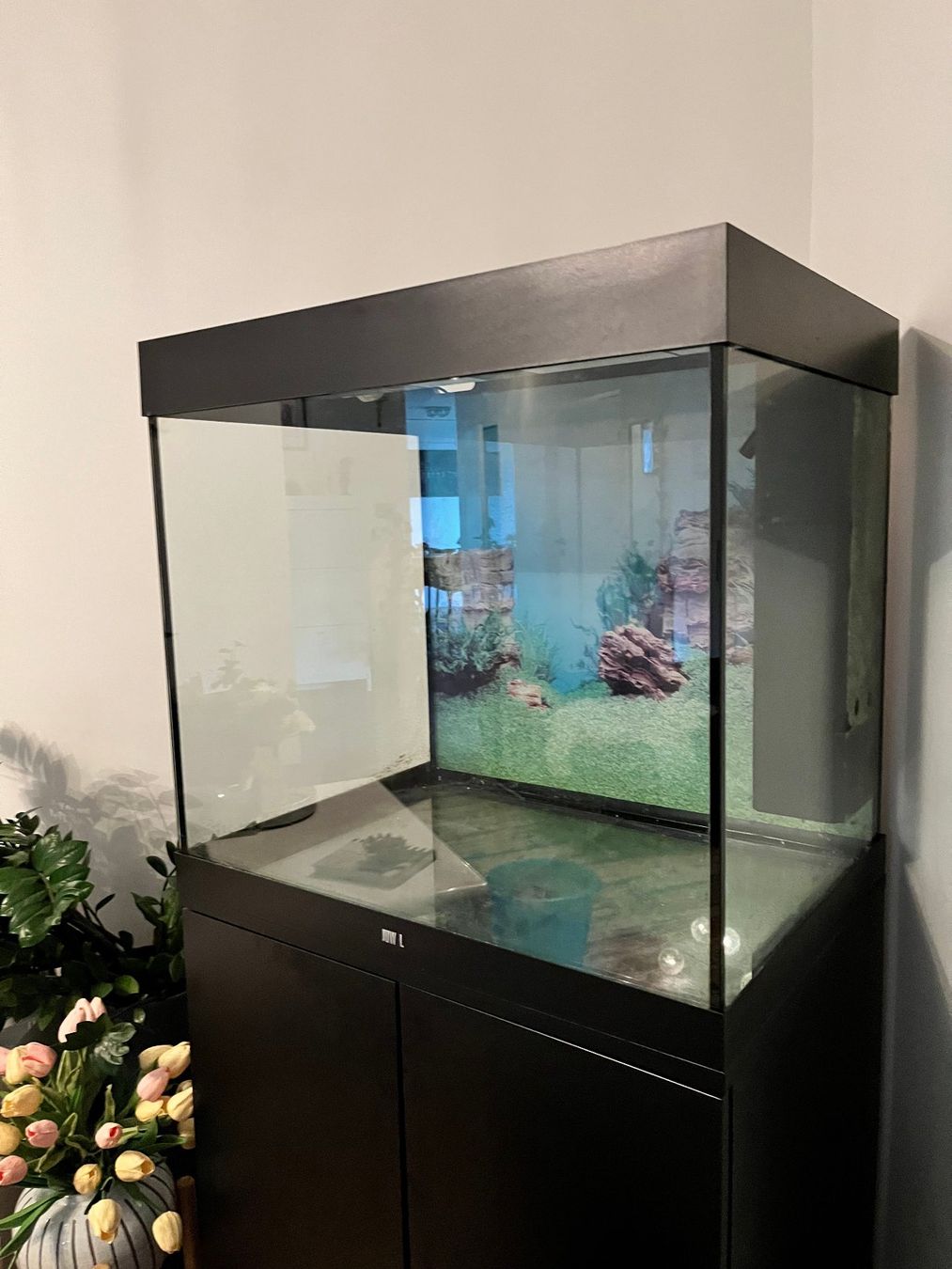 Juwel Acquari: Juwel 200L Aquarium mit LED + Unterschrank – Usato da Gossau ZH venduto da bij_y9mb 4