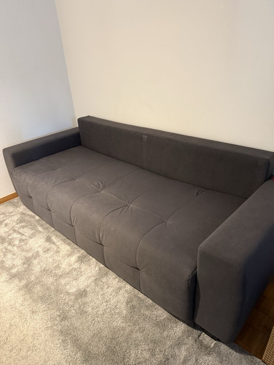 Divani: Sofa – Usato da Bergdietikon venduto da sim_rg8v