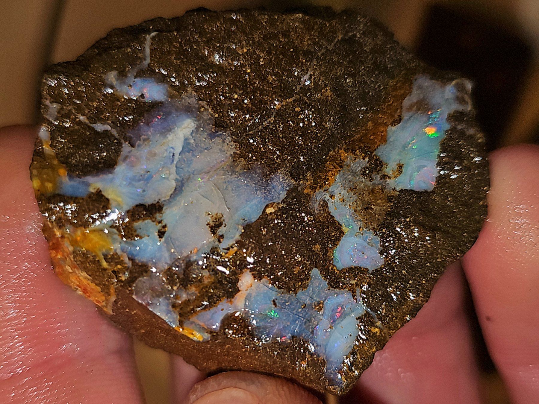 Pietre preziose: Grosser Australischer Boulderopal Rohstein – Nuovo e nell'imballaggio originale da Uerkheim venduto da Winwinner 3