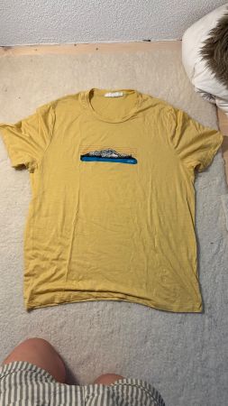 Merino Tshirt von Icebreaker