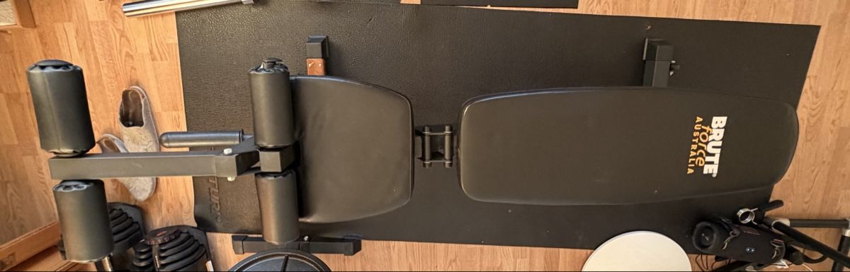 Vélos d'appartement: Brute Force - Hantelbank – D'occasion à Zürich par eli_gc5x 3