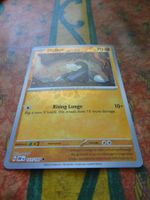 POKEMON  Drilbur    G  OBF EN    111/197    HP70    2023