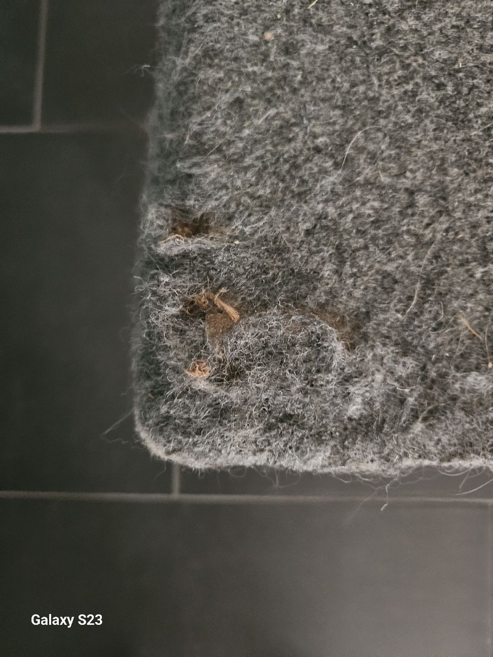 Tiragraffi: Katzenkratzbaum – Usato da Wallisellen venduto da BeautyBee 3