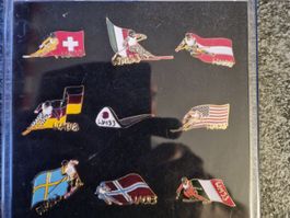 Pin-Set Ski WM 1993