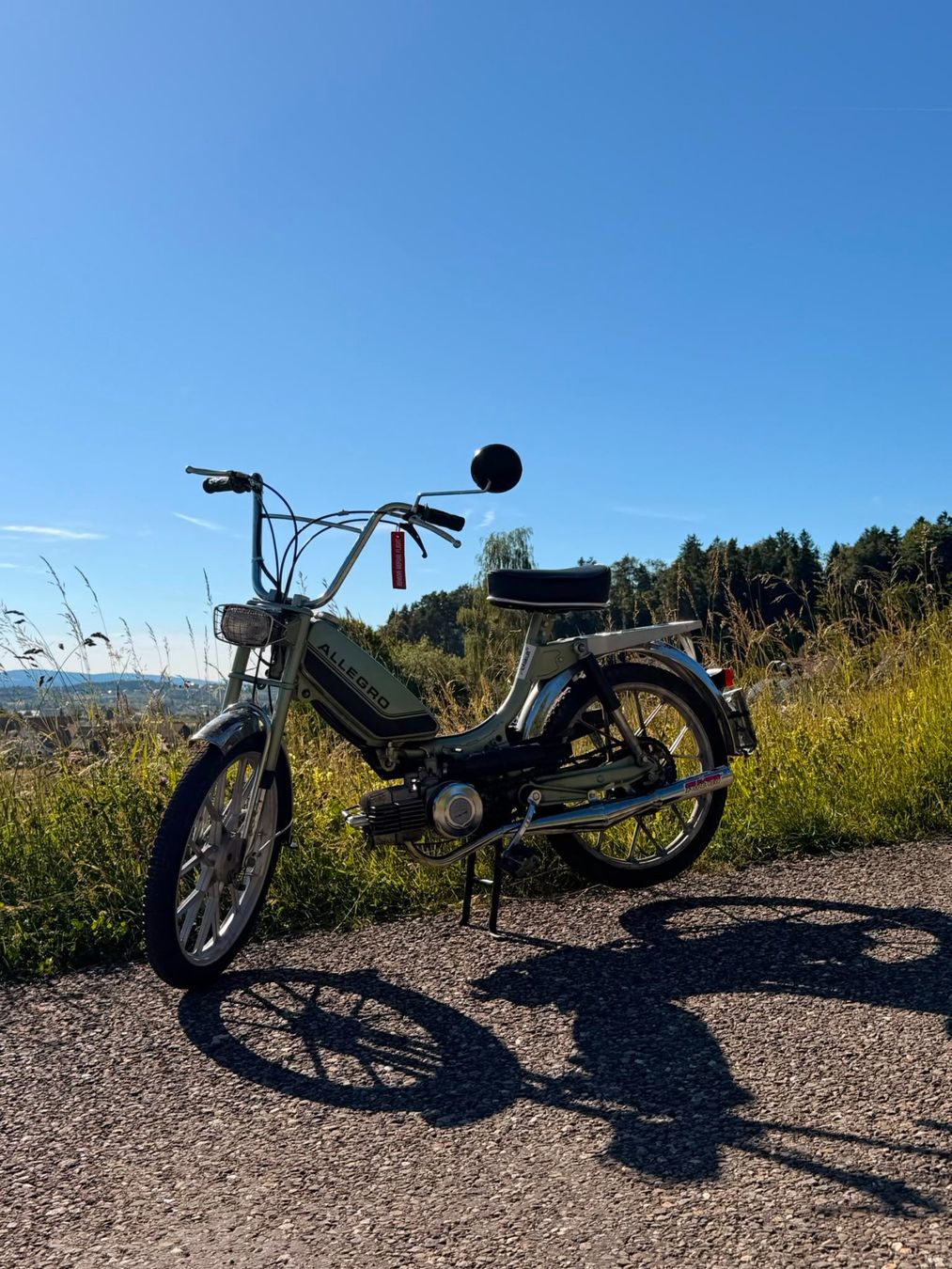 Puch Ciclomotori: Puch Allegro GS1 – Usato da Wetzikon ZH venduto da ALBEX1012 1