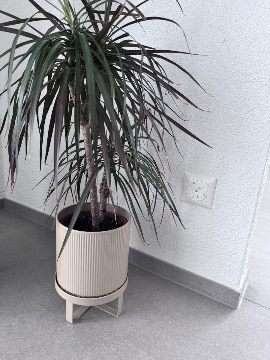 Ferm living Blumentöpfe: FERM LIVING Topf BAU beige klein – Gebraucht aus Meisterschwanden von