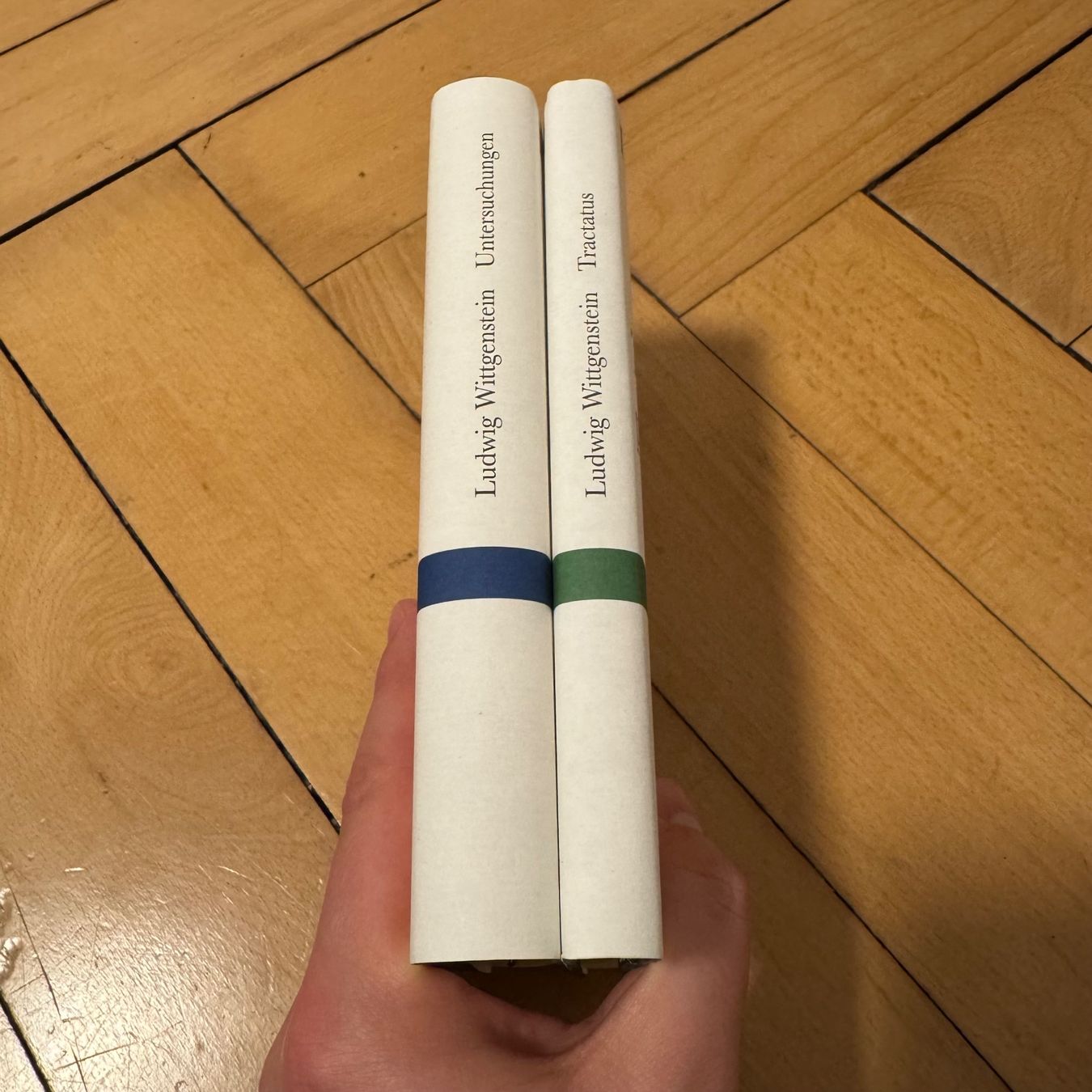 Libri: Wittgenstein: Tractatus & Untersuchungen – Usato da Luzern venduto da philippbrl 1