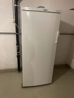 Gefrierschrank Electroni