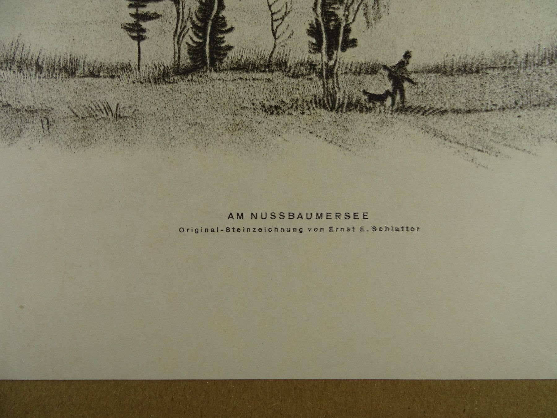 Dipinti: NUSSBAUMERSEE, LITHO VON E.E. SCHLATTER – Usato da Grüningen venduto da Kartensammler 5