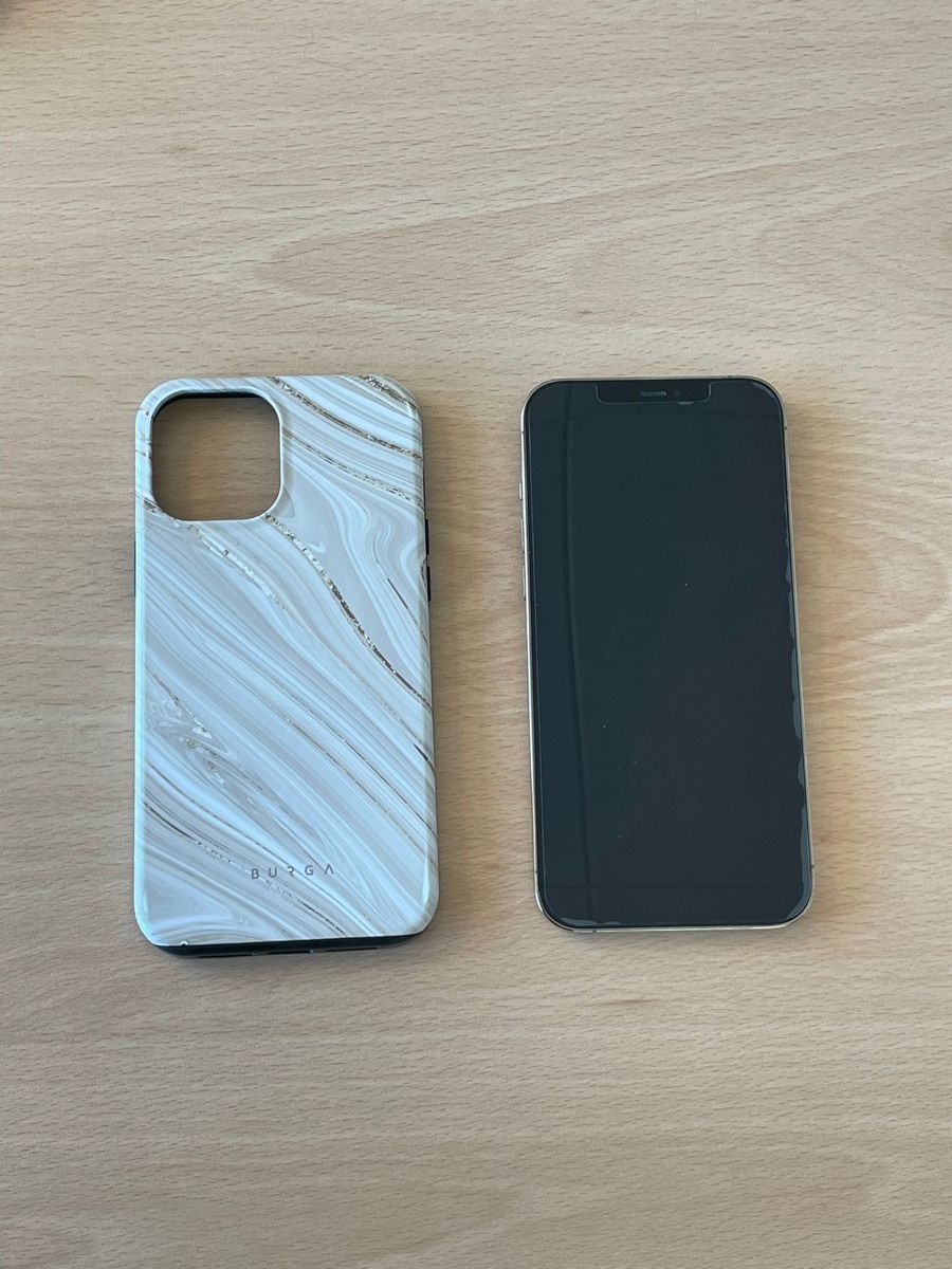 Apple Telefoni cellulari / Smartphones: iPhone 12 Pro Max 256GB Gold inkl. Hüllen – Usato da Gränichen venduto da ao_cs 1