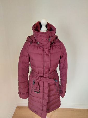 Burberry Daunenmantel Gr. XS dunkelrot