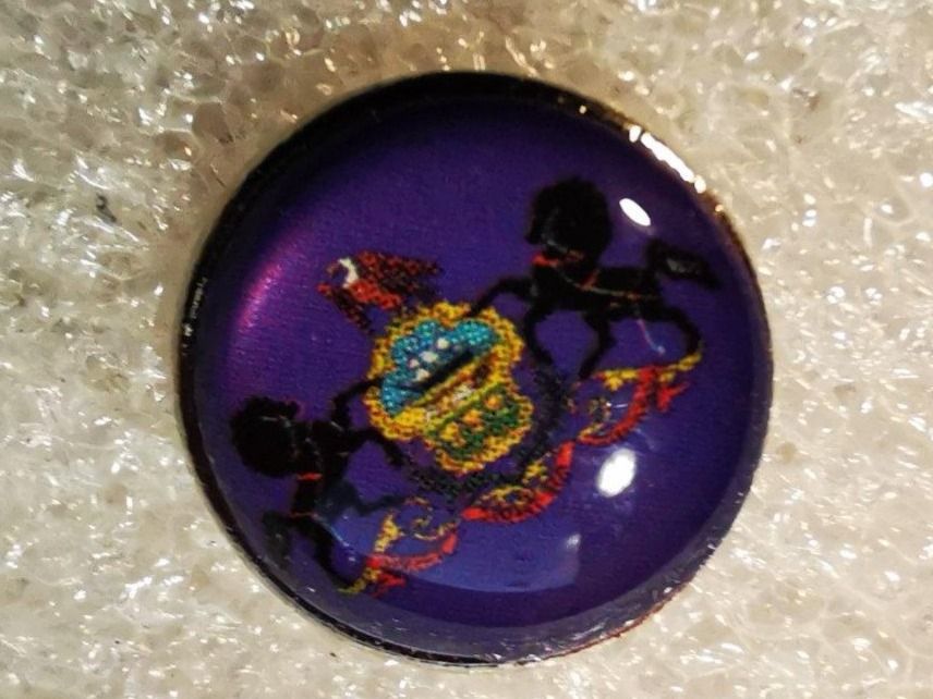 Placchette & Badge: Ansteckpin 2: US Bundesstaat – Usato da Oppligen venduto da Pin-Fall-Shop