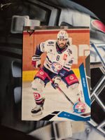 Willy Riedi ZSC Lions 2025/26 Sportzoo 2