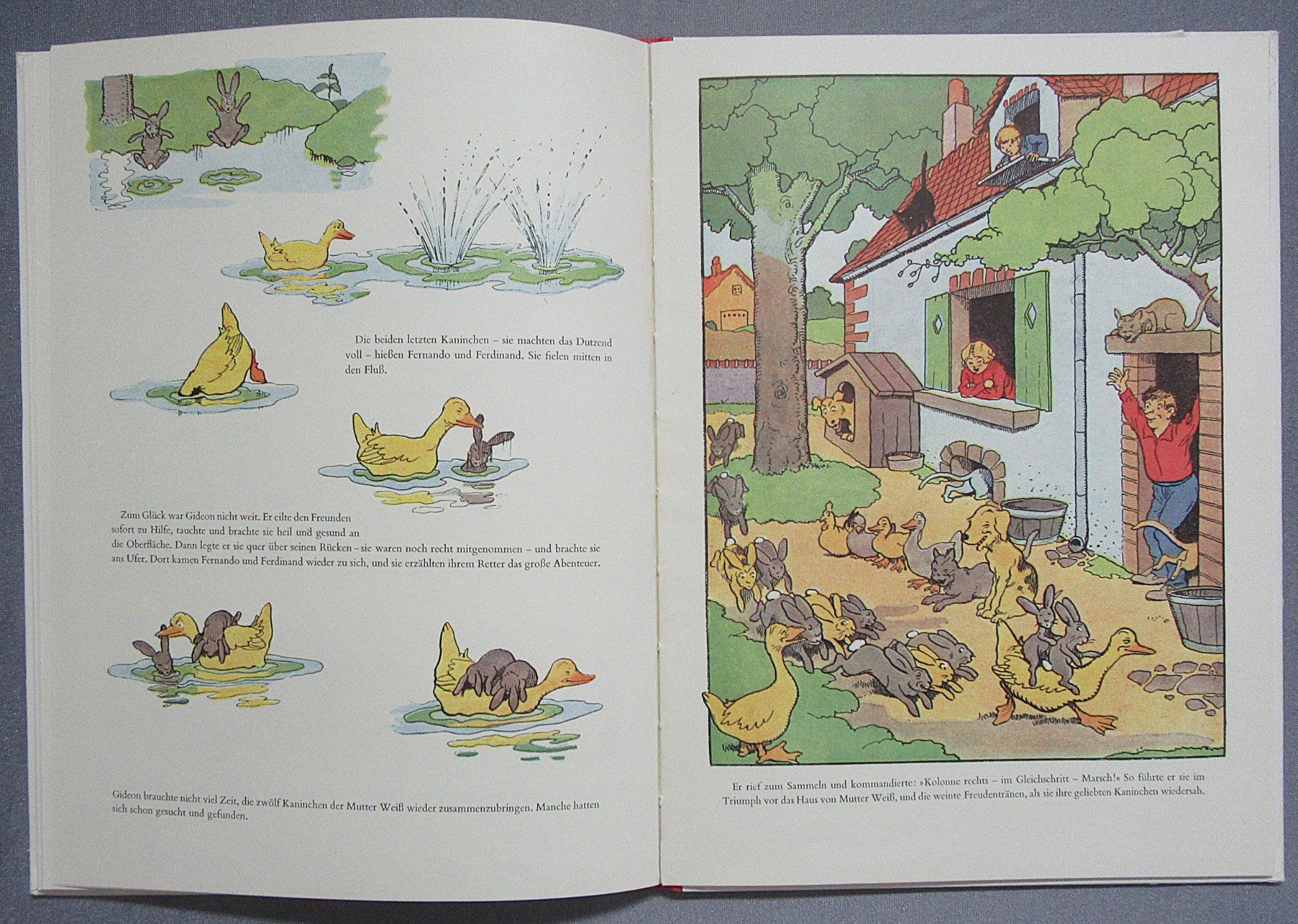 Libri: Gideon im Wald - Ein Diogenes Kinderbuch – Usato da Auenstein venduto da Padabimbim 7