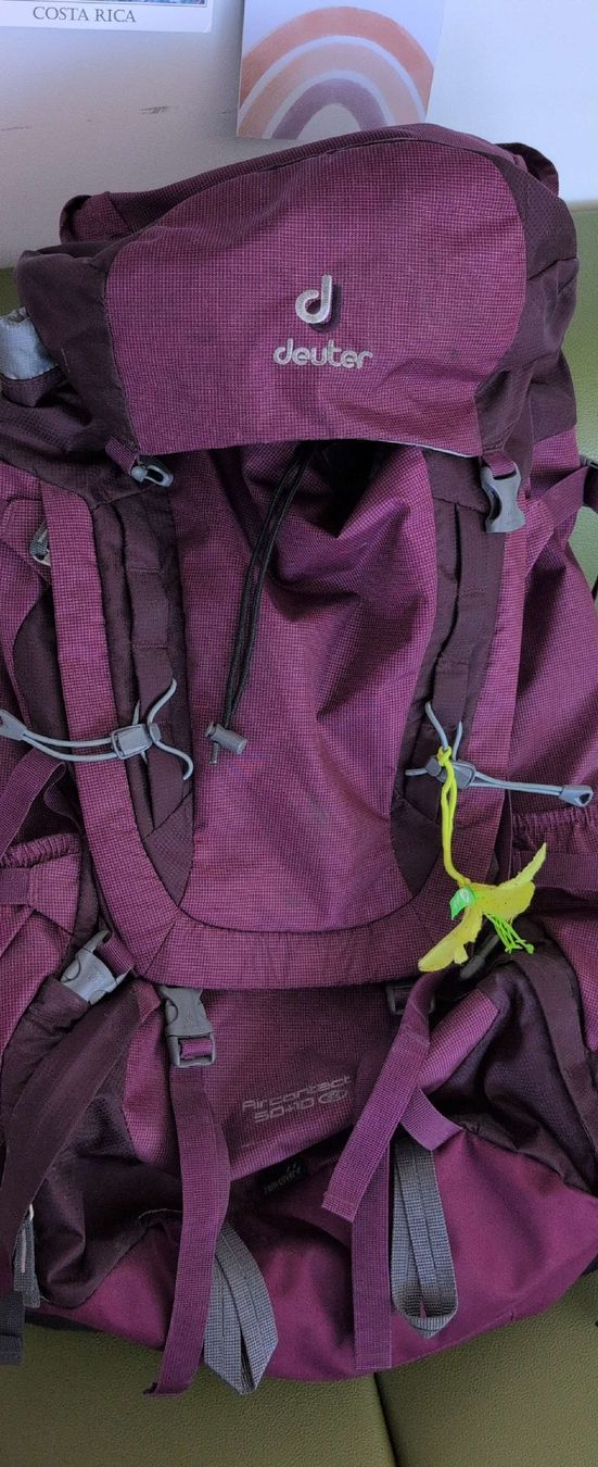 Zaini: Deuter Wanderrucksack lila Damen  – Usato da Winterthur venduto da dav_87bj
