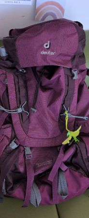 Deuter Wanderrucksack lila Damen 