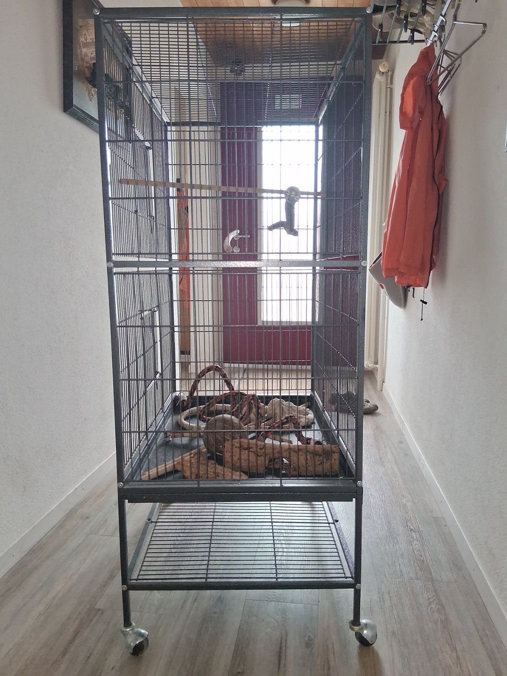 Gabbie, trasporto & Sicurezza: Vogelvoliere auf Rollen – Usato da Erlen venduto da Katzenjimmy2 1