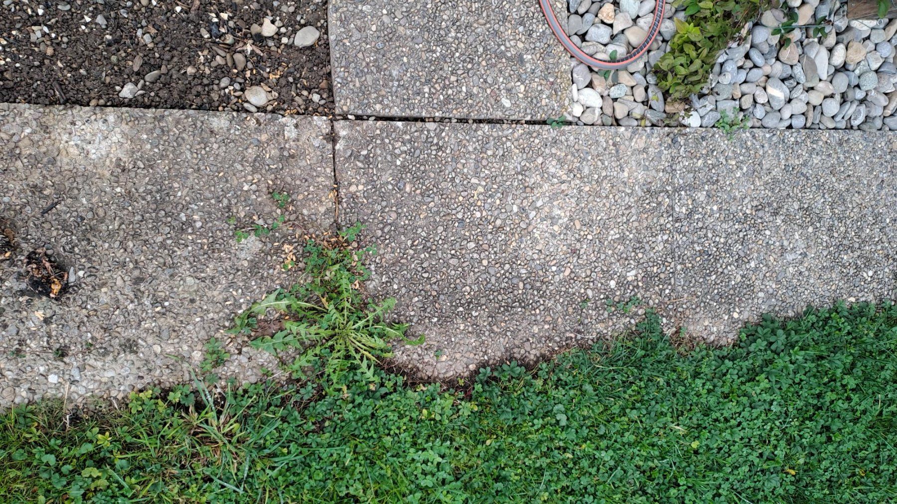 Bodenbeläge: Betongartenplatten – Gebraucht aus Wuppenau von sodastream 2