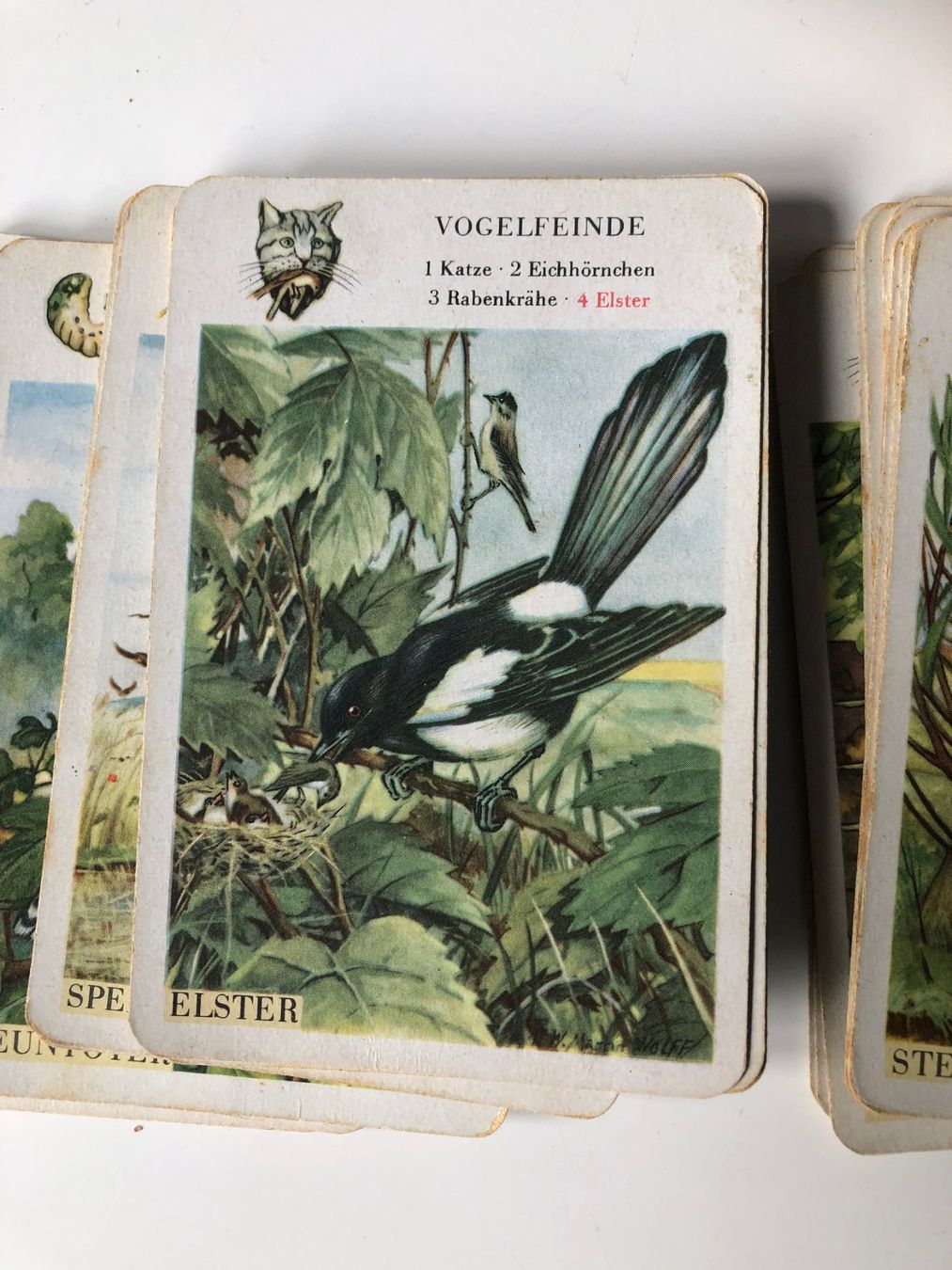 Giochi: 3 alte Lernquartette von Schwarzer Peter bis allerlei Unkrau – Usato da Mollis venduto da Hg 2