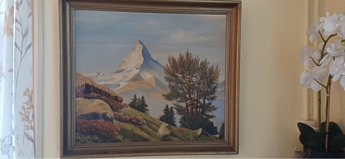 Dipinti: Landschafts Bild – Usato da Flawil venduto da Naphtali