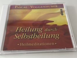 Pascal Voggenhuber Heilung durch Selbstheilung