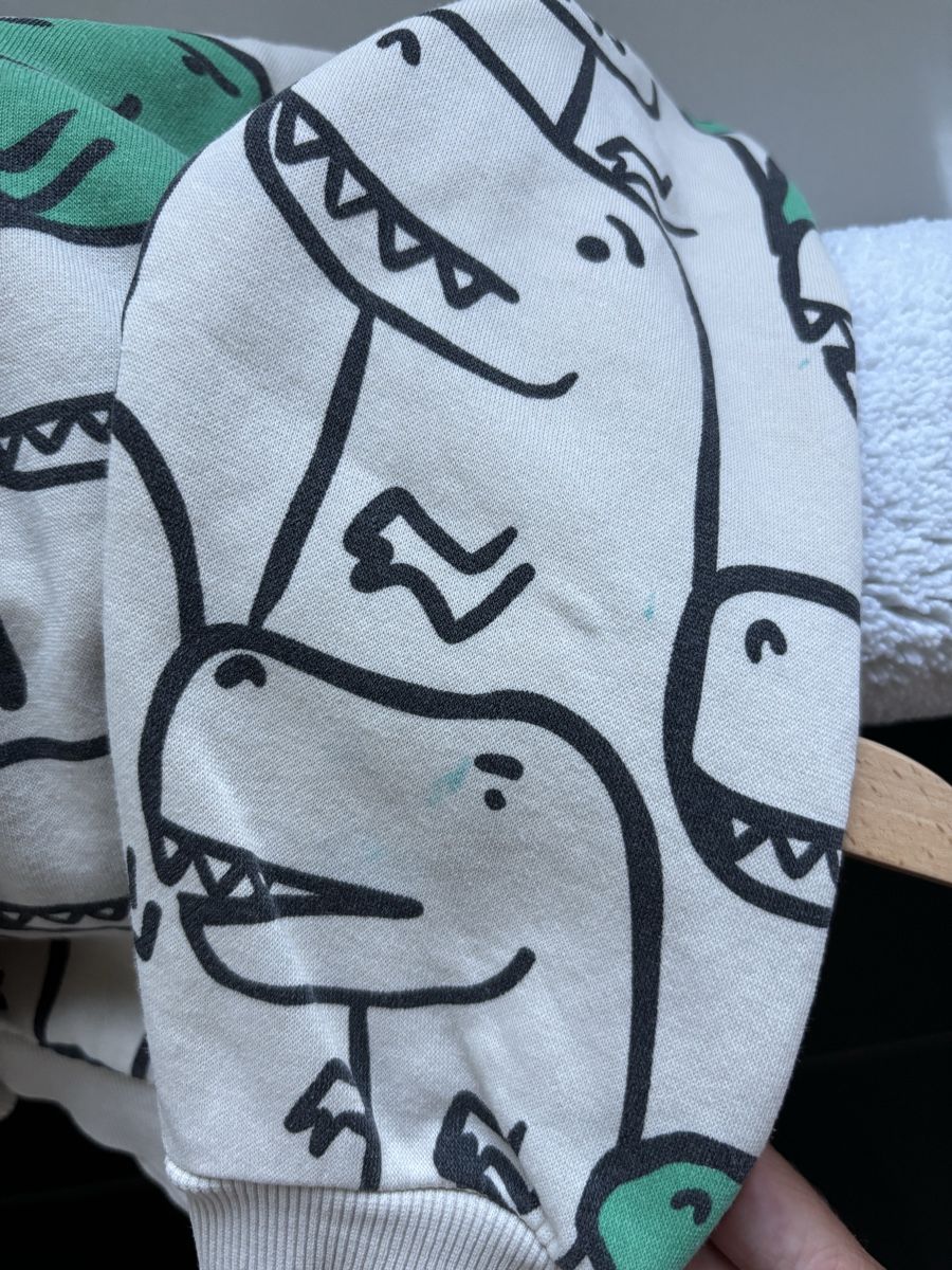 H&M Pulls et sweat-shirts: Pullover H&M 110 116 beige Dino  – D'occasion à Rebstein par wendy321meins 5