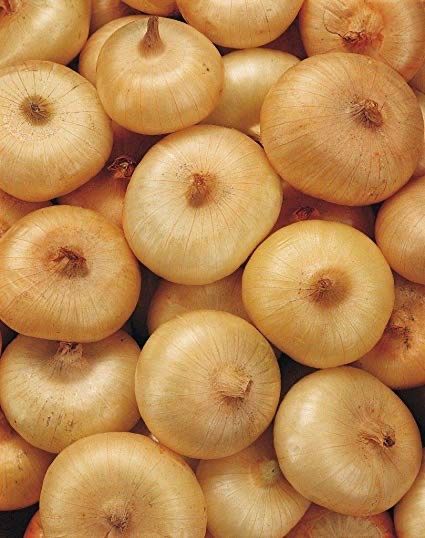 Piante & sementi: 300 Samen Zwiebel FLAT BORETANA – Nuovo (secondo la descrizione) da Ehrendingen venduto da VerveinaSamen 2
