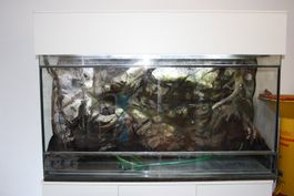Terrarium komplett mit Unterschrank, Rückwand von Lorica