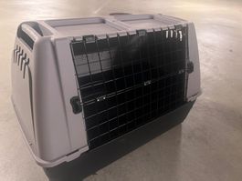 Gut erhaltene Hunde/Katzen Transportbox, Top Zustand!
