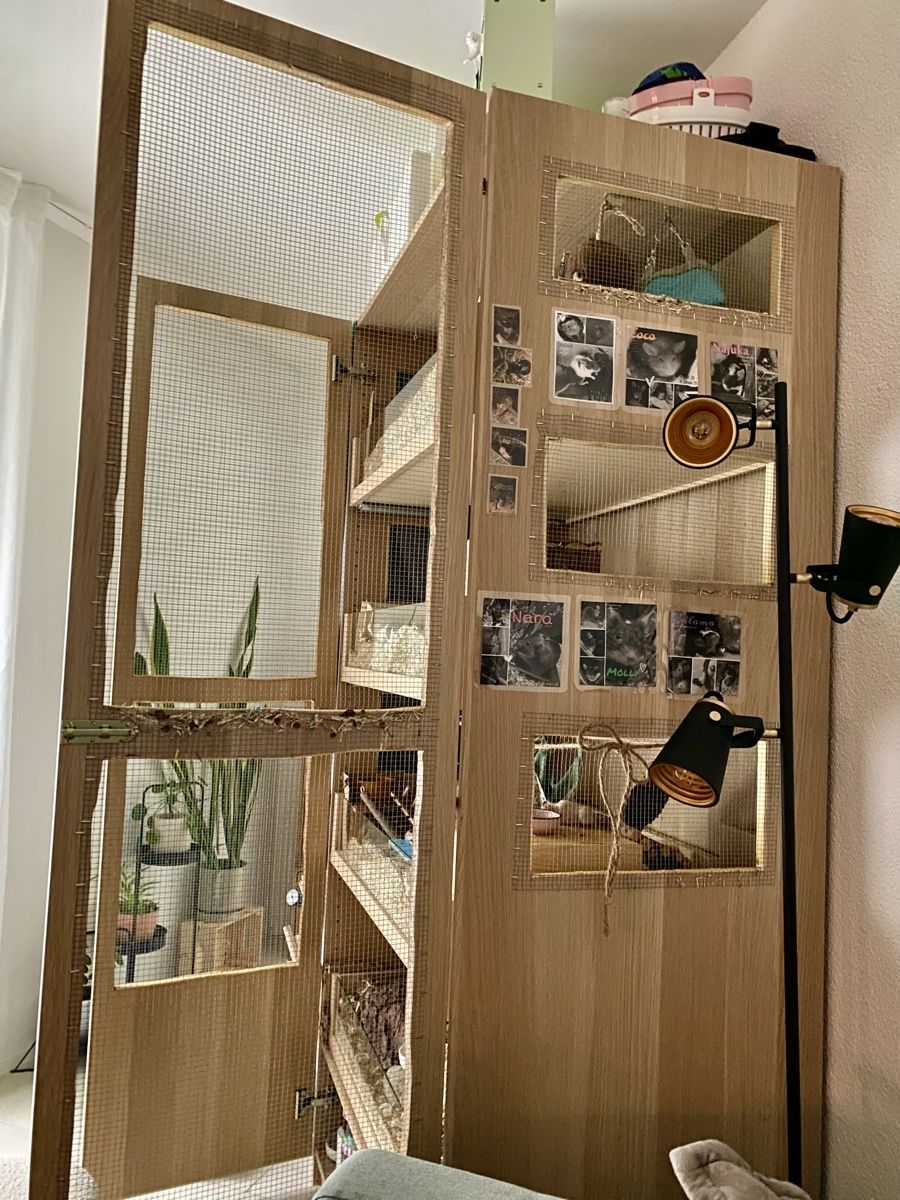 Cages, transport & sécurité: Nagerkäfig (Farbmäuse) – D'occasion à Winterthur par LeaVH 3