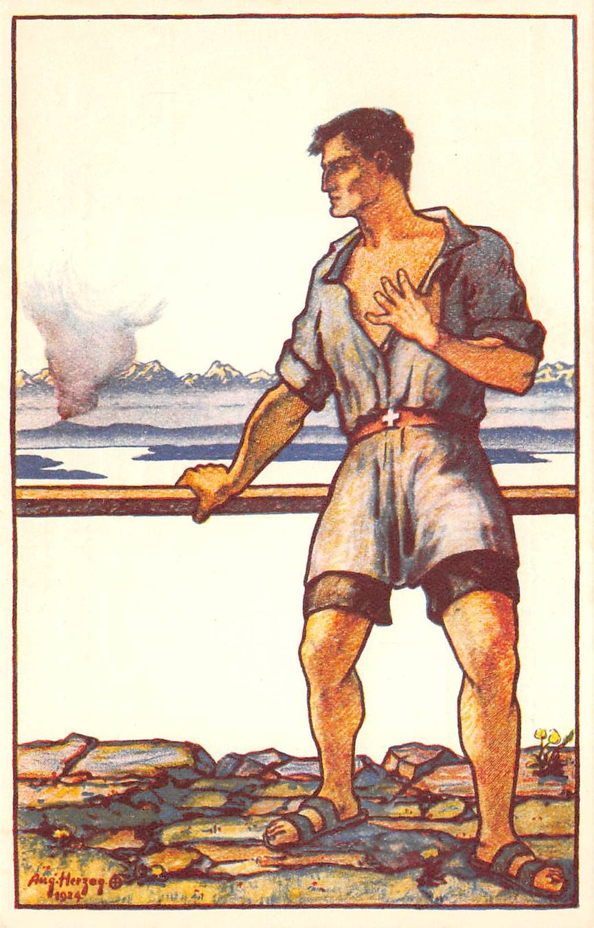 Tous les timbres: BFK, Auslandschweizer – D'occasion à Ottikon b.Kemptth. par Neptun1974