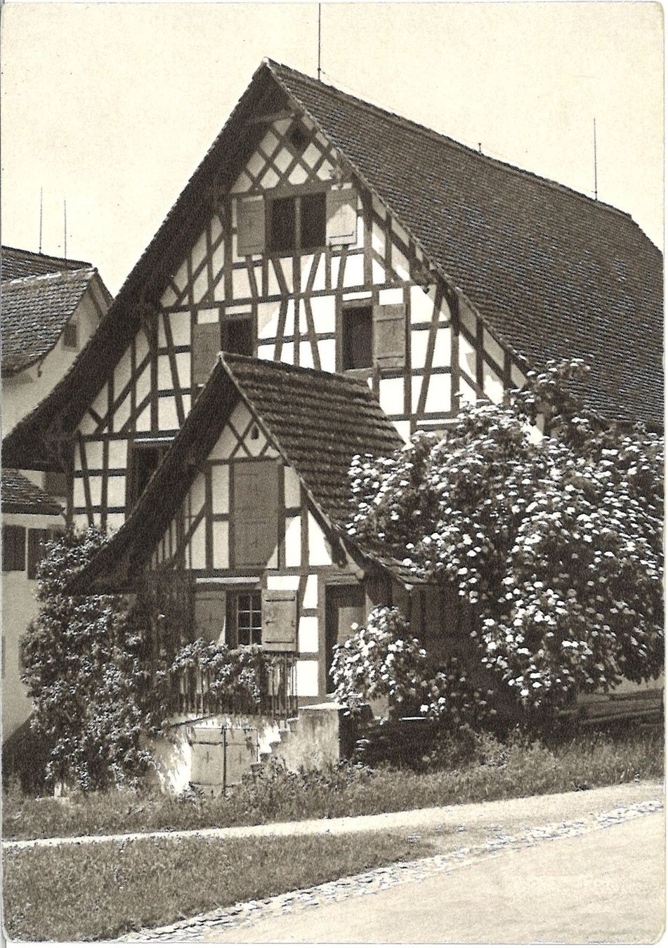 Cartoline postali: Antike Ansichtskarte Feldbach (ZH) – Usato da Chur venduto da mar_95xd