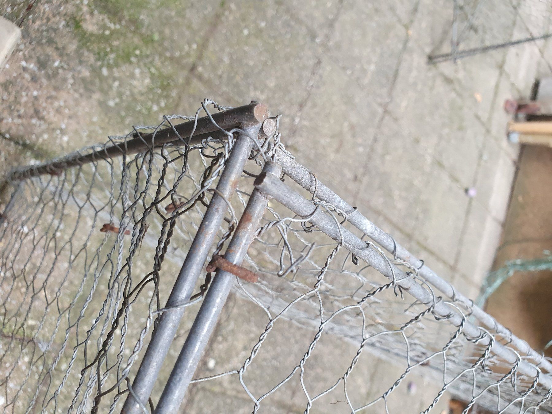 Cages, transport & sécurité: Freilaufgehege – D'occasion à Uetendorf par worhol 1