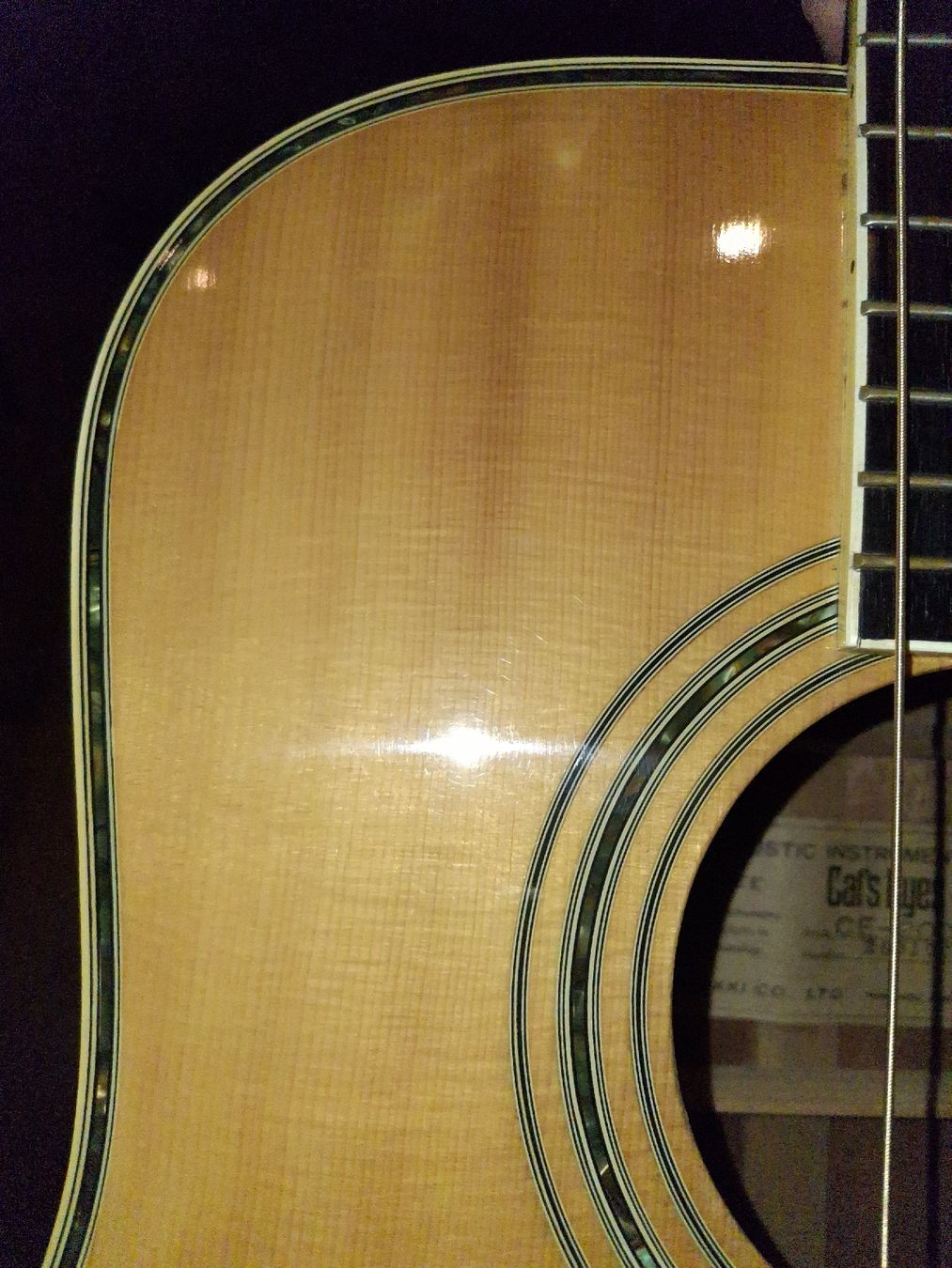 Strumenti musicali: Tokai Cat's Eyes CE-200D – Usato da Altikon venduto da willtell 9