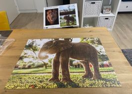 Schöne 3 × 1000 Puzzle/Wildtiere