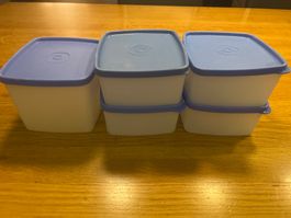 Tupperware Gefrierbehälter Set 5-teilig
