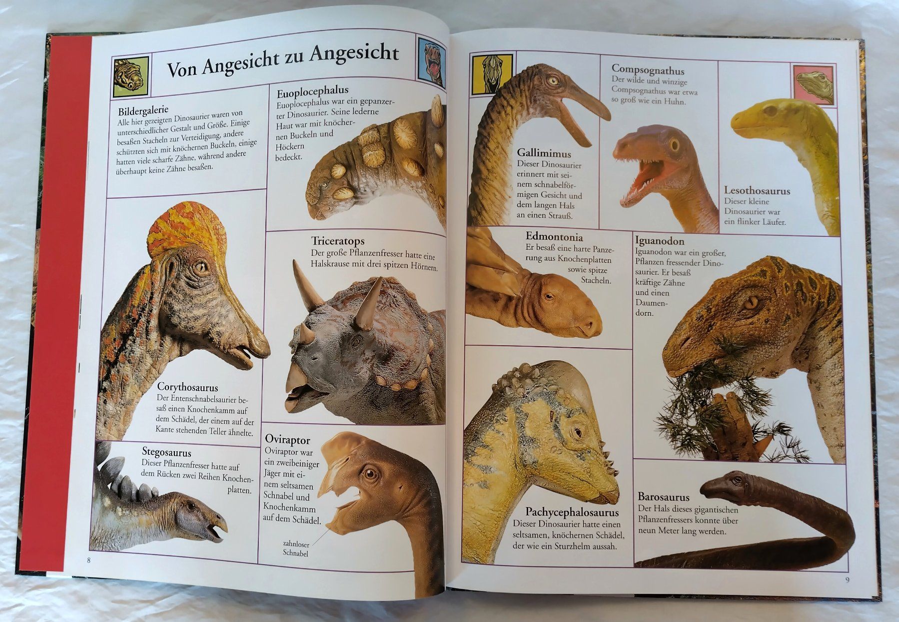 Libri: Das grosse Bilderlexikon der Dinosaurier / Grosses Format – Usato da Bellach venduto da JingleJerry 4