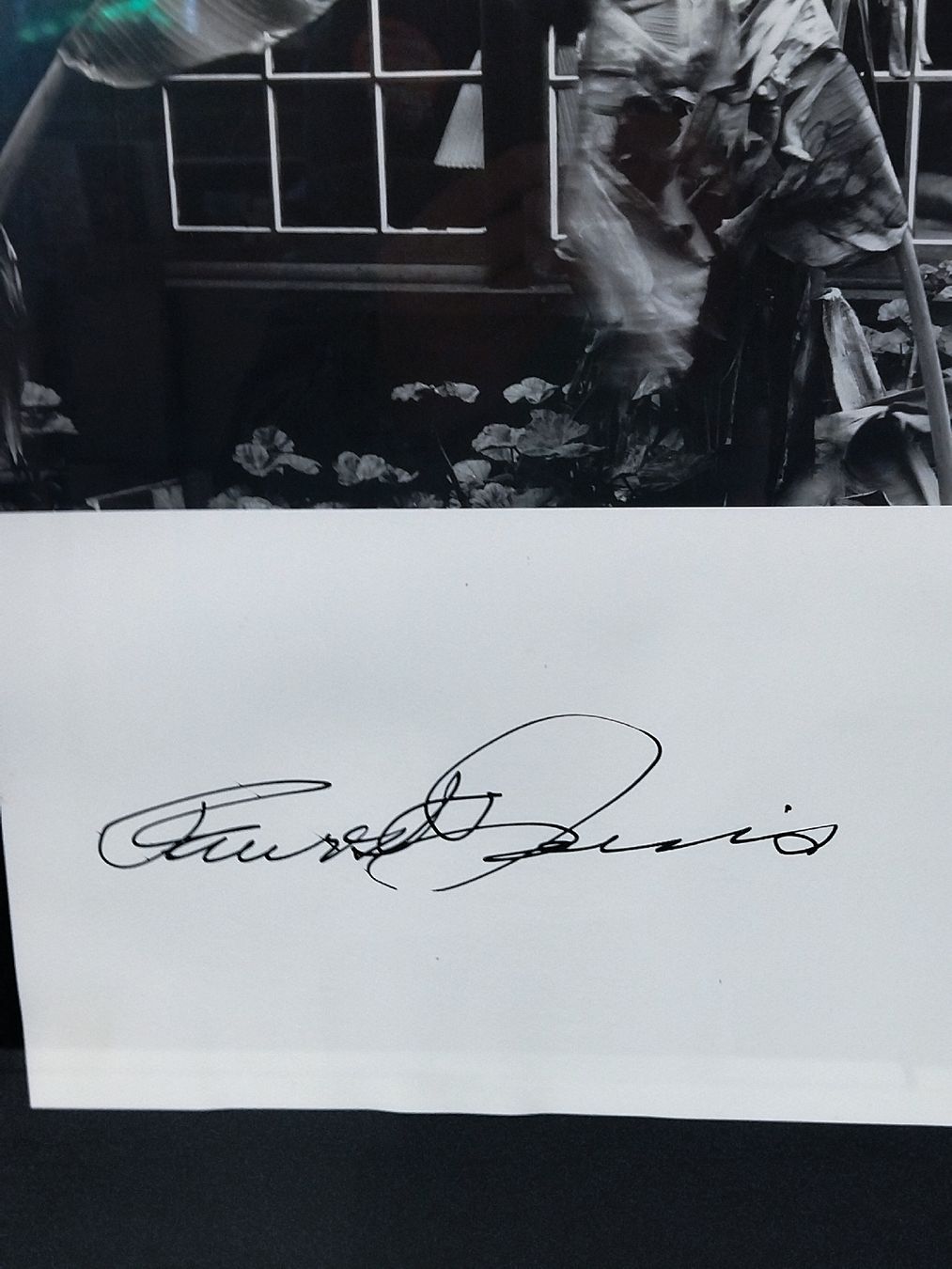 Foto & Immagini: Faurest Davis Originalfoto – Usato da Zürich venduto da Top-Deal-Schweiz 3