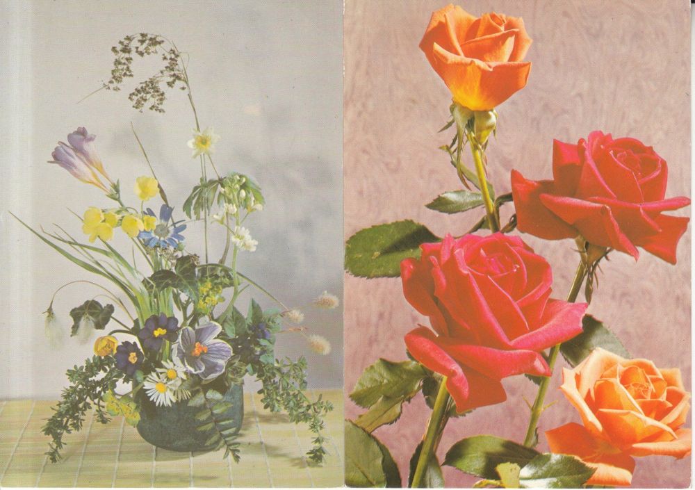 Cartoline postali: Floristik ca. 1970, 7 Karten – Usato da Bürglen TG venduto da StampGraf 1