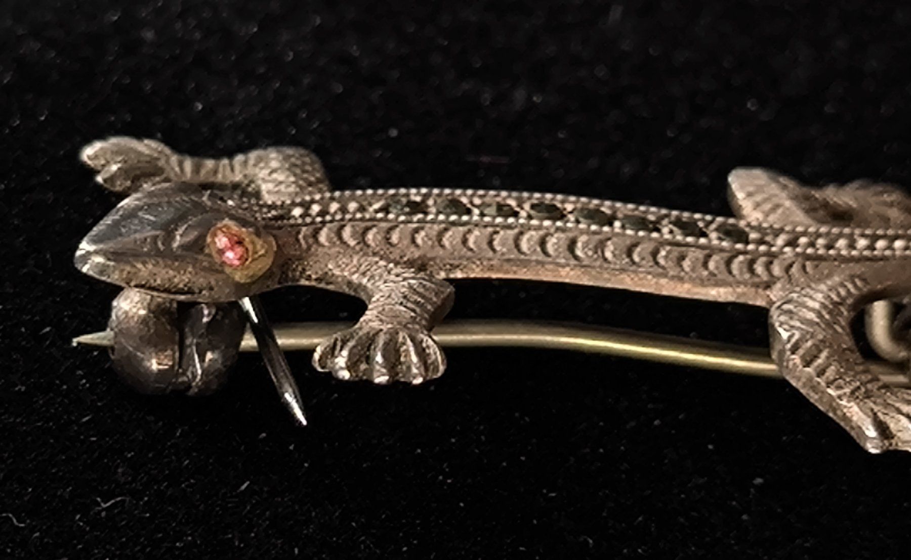 Broschen & Nadeln: Brosche Salamander, 800er Silber – Gebraucht aus Rorschacherberg von snOOpydOg11 2