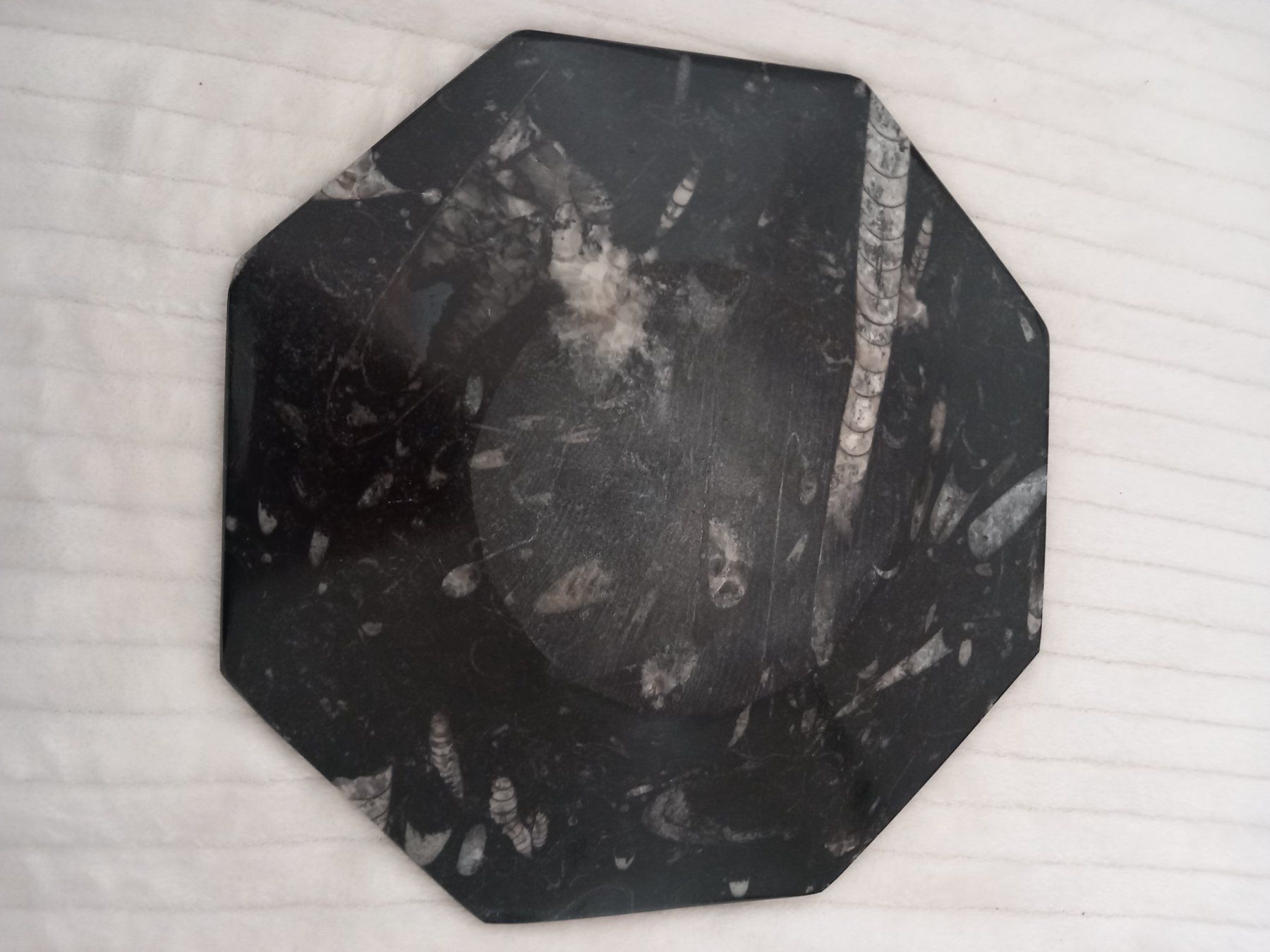 Piatti di portata: Fossile Octogonal en Marbre Jurassique Noir – Usato da Le Grand-Saconnex venduto da Rgt87 1